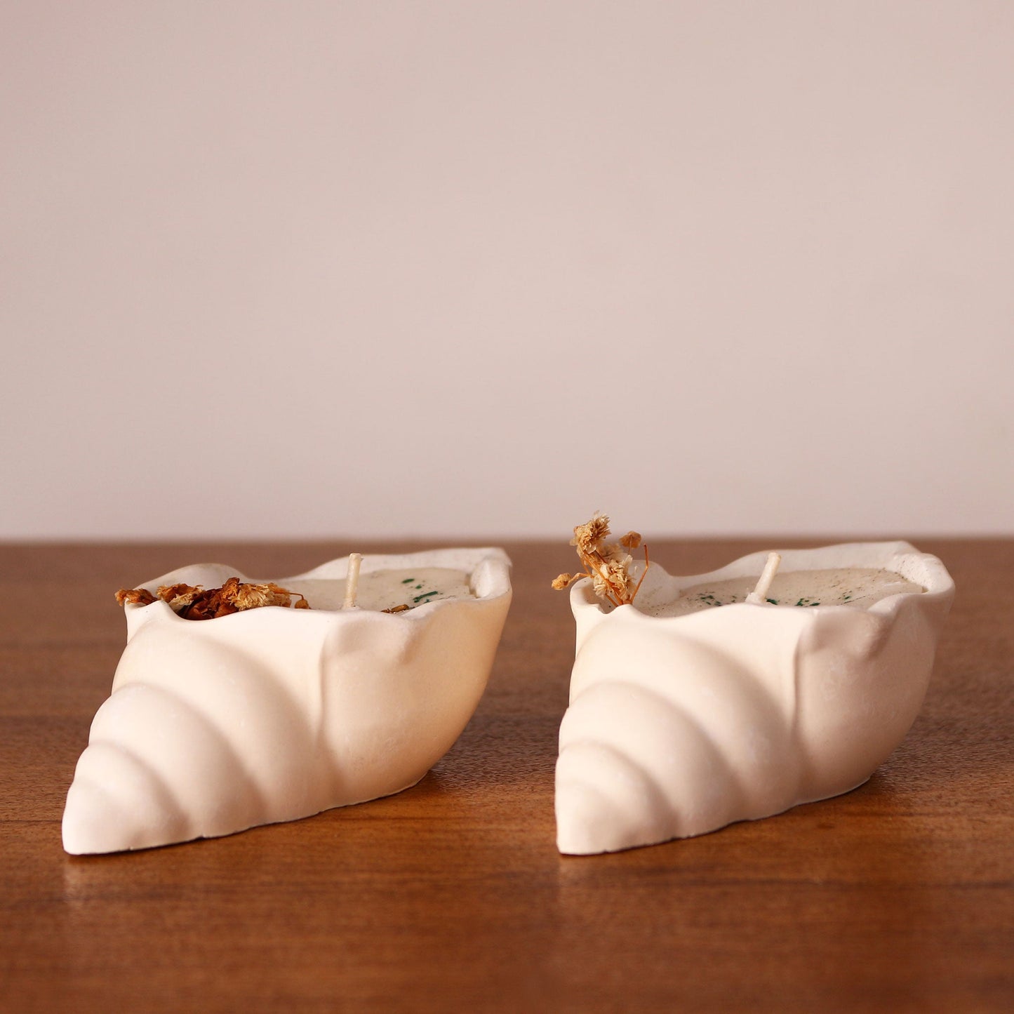 Scented Conch Shell Candle